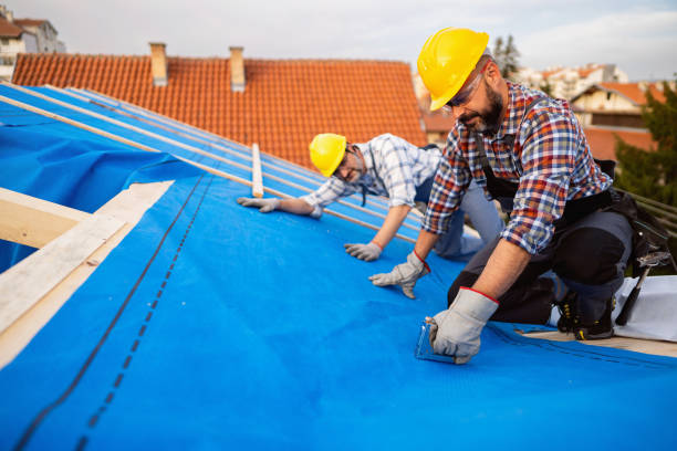 Best Roof Gutter Cleaning  in Lindenhurst, IL